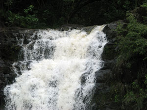 Water Wearing Rock