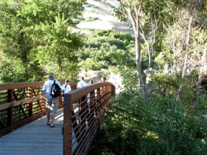 Crossing the bridge led to a magical fairytale-like setting.